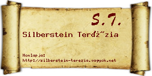 Silberstein Terézia névjegykártya